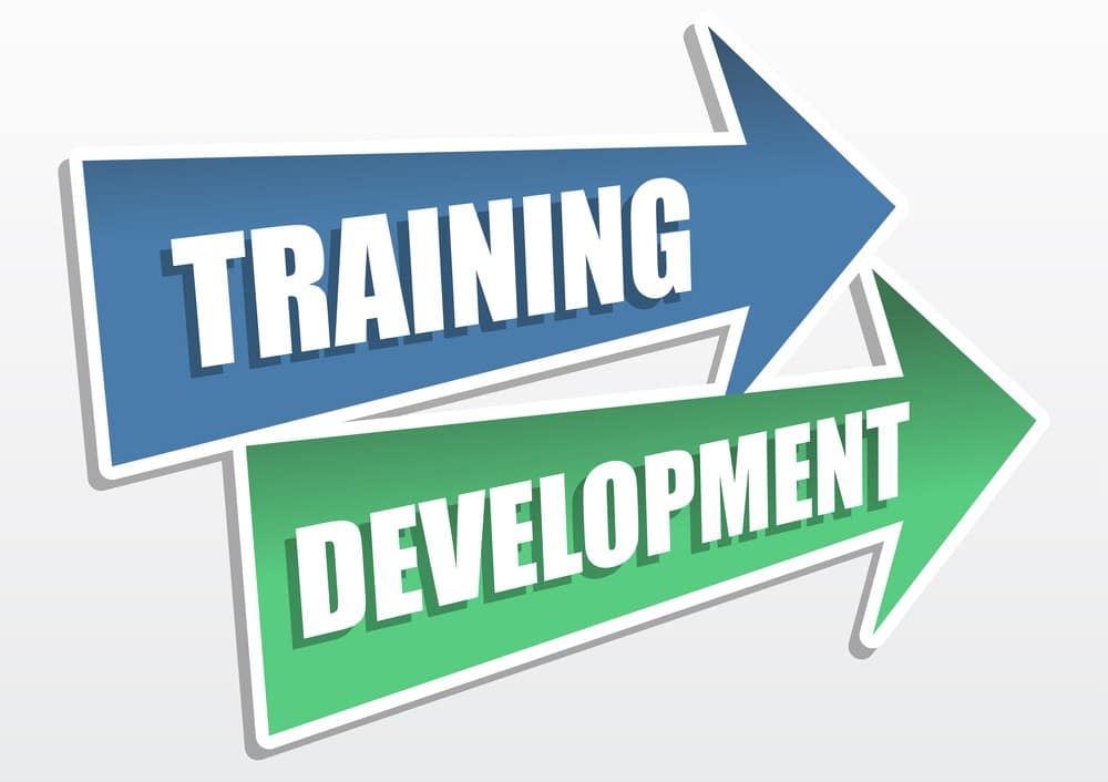 training-your-team-to-use-emat-june-2025-blog